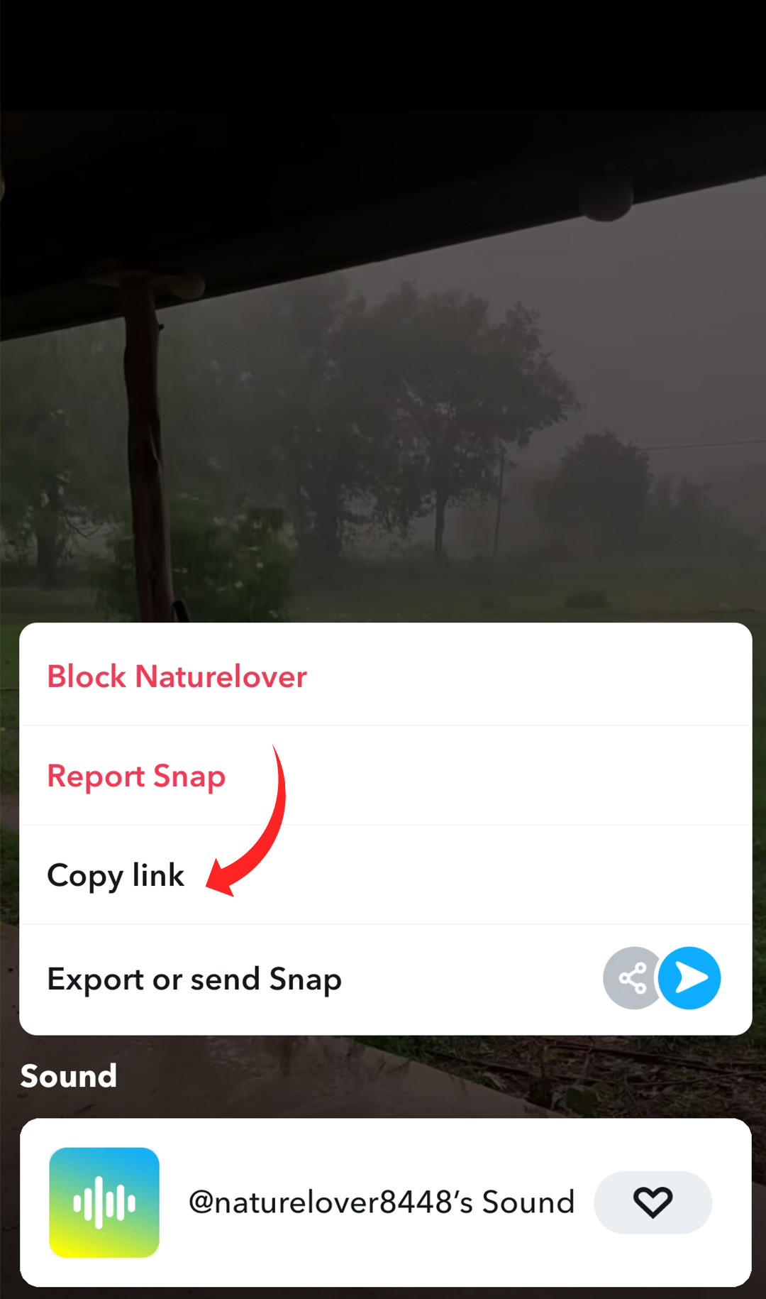 Snapchat video downloader