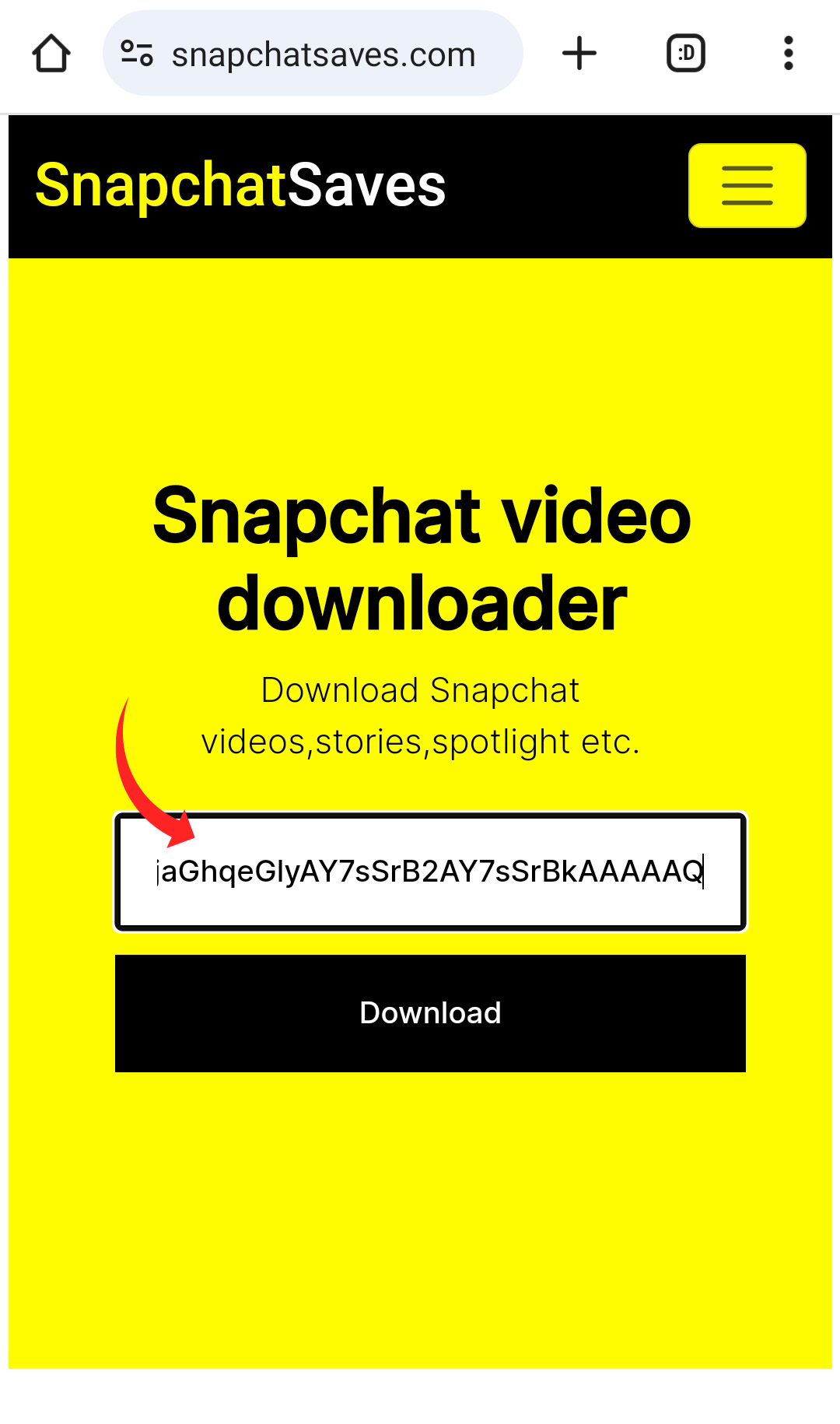 Snapchat video downloader